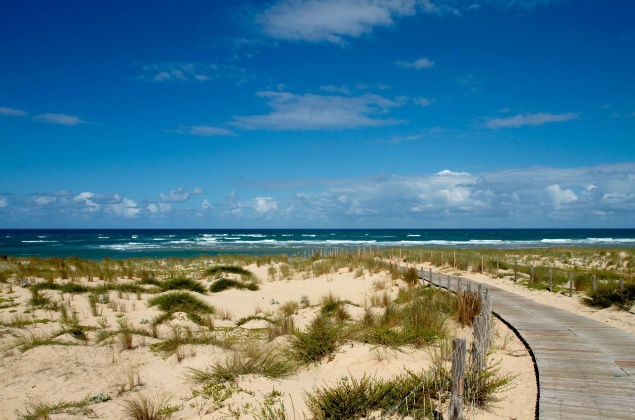 Chemin de mer