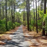 Piste cyclabe entre la résidence et l'océan