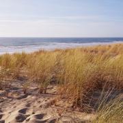 Dune en bord de mer